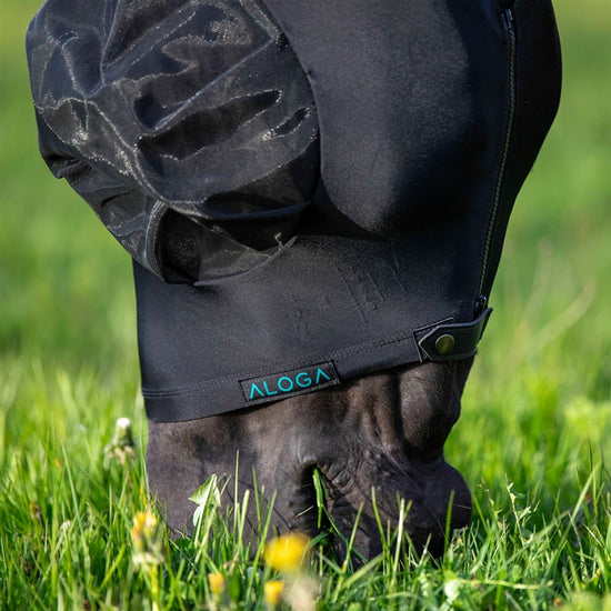 Aloga Fly Mask