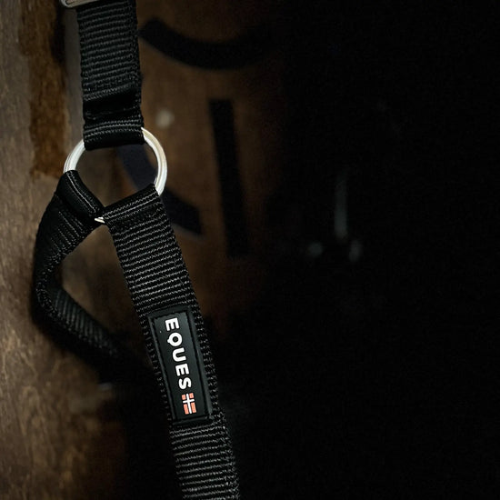 Halter 2