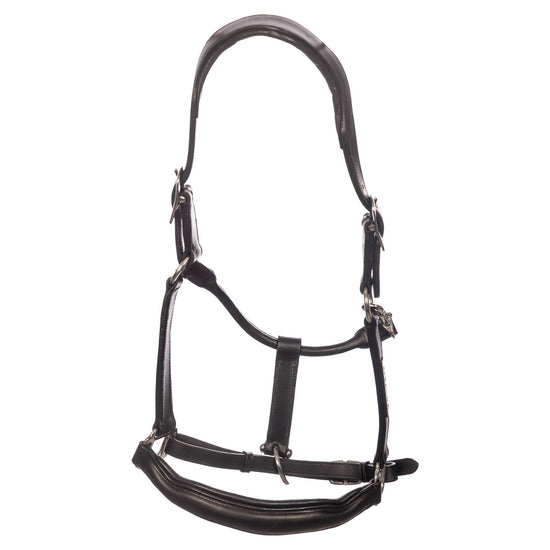 EQ63100_Leather_Halter-20250115-1642