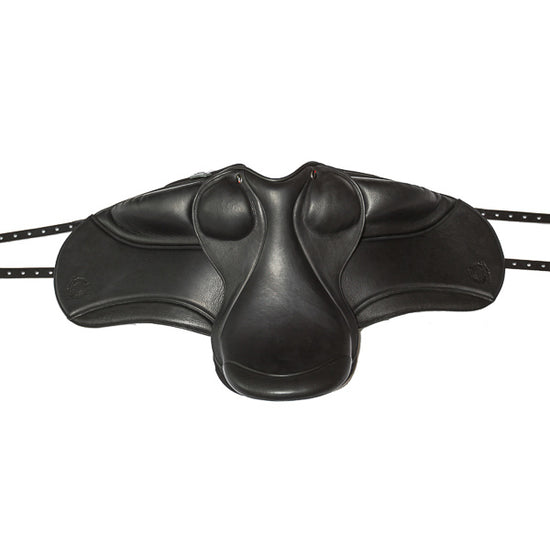 champion-3_web