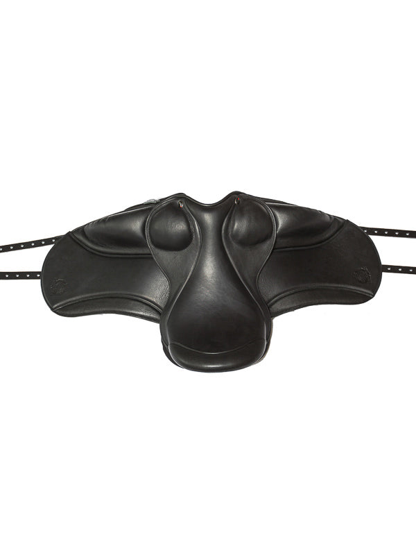 champion-3_web
