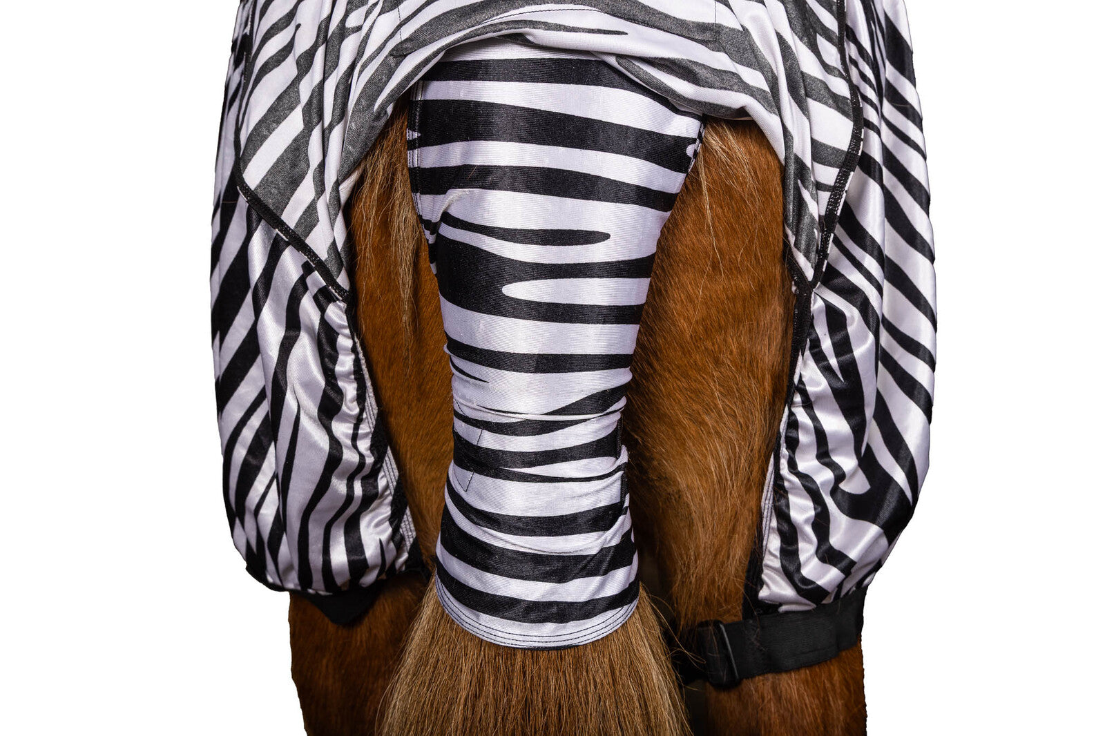 EQ70001-125ZE Zebra Blanket 3