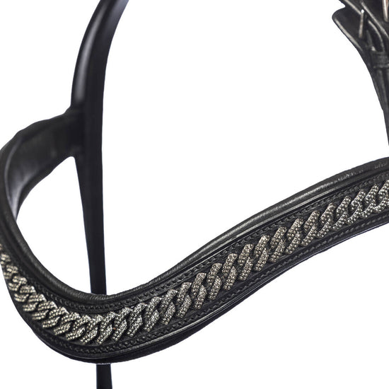 EQ290051-AN 2 Crystal Curb Bridle