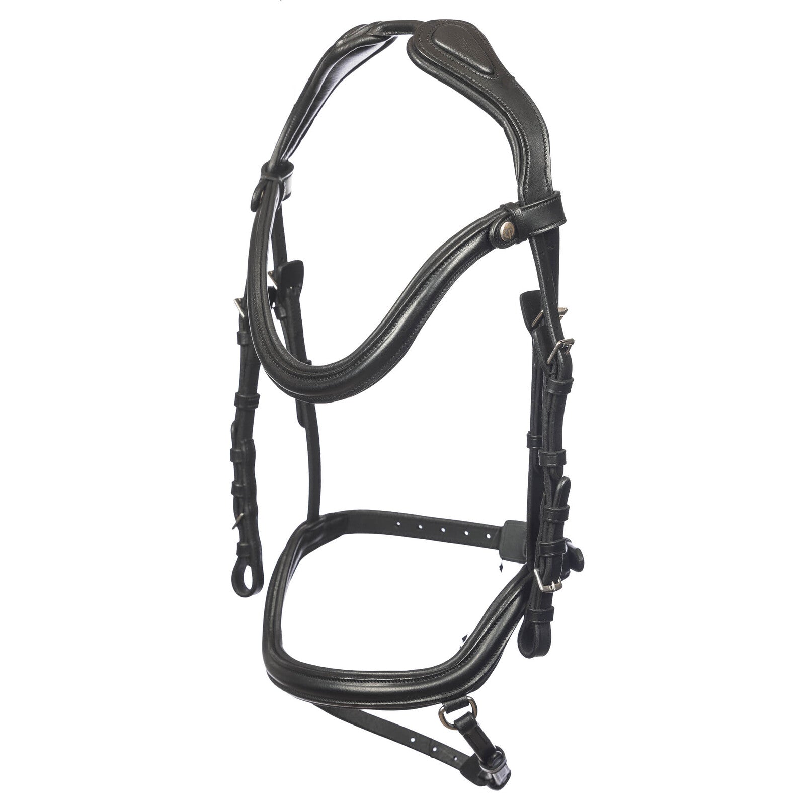 EQ20200-BK 1 Deluxe Bridle – Fusion