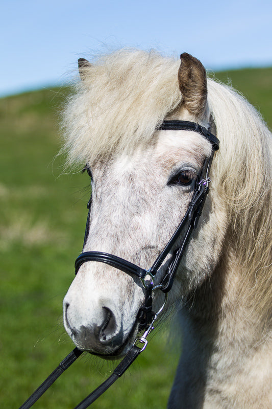 eques-0959_web