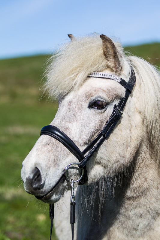 bridle4_web