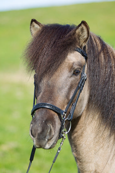 eques-0643_web