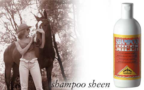 Schampoo Sheen