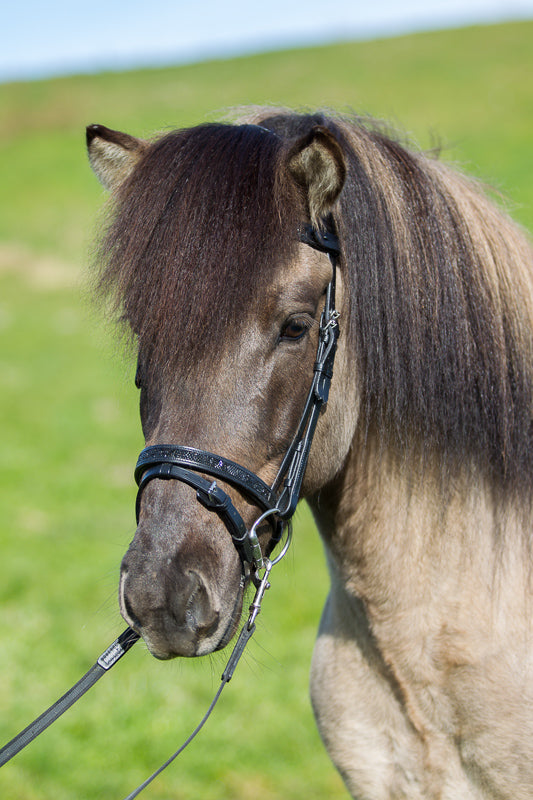 eques-0743_web