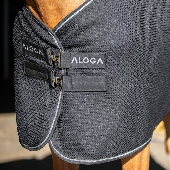 Aloga Waffle cooler