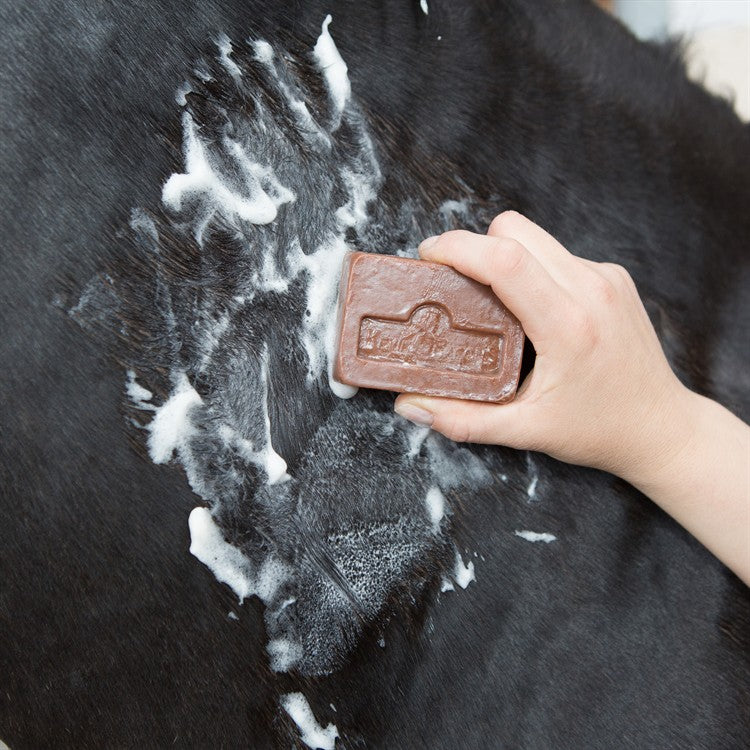 Kevin Bacon´s Active Soap hästtvål 100 gr 6-pack