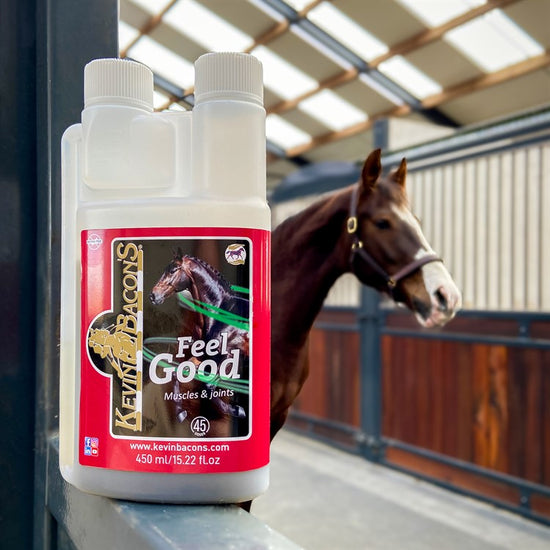 Kevin Bacon´s Feel Good 450ml
