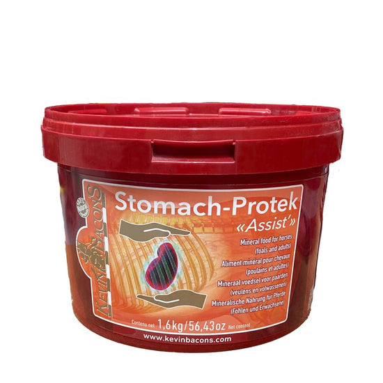 Kevin Bacon´s Stomach-Protek Assist 1,6kg