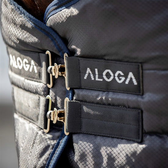 Aloga Stable 2.0