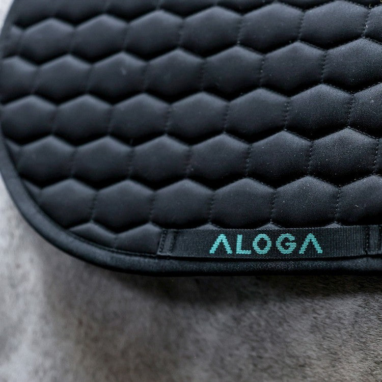 Aloga Hoppschabrak