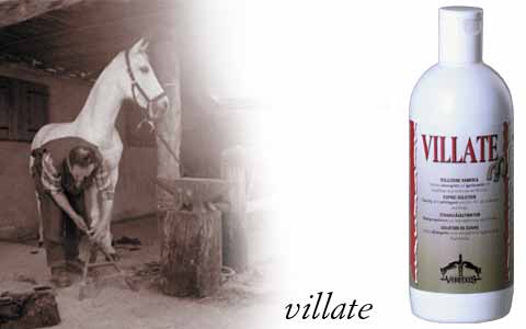 Villate