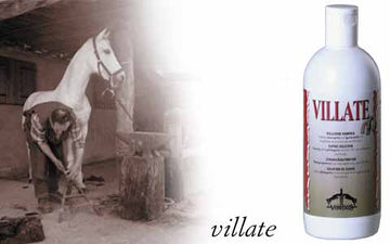 Villate