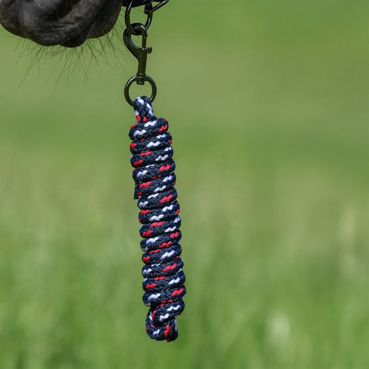 Yale Set Halter+Rope 004 Desert sky