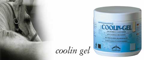 Ice Gel