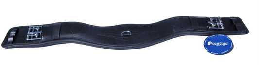 Dressyrgjord anatomisk