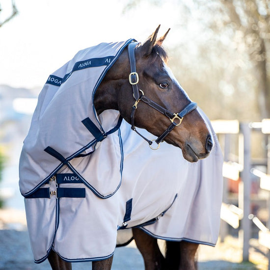 Aloga Fly sheet