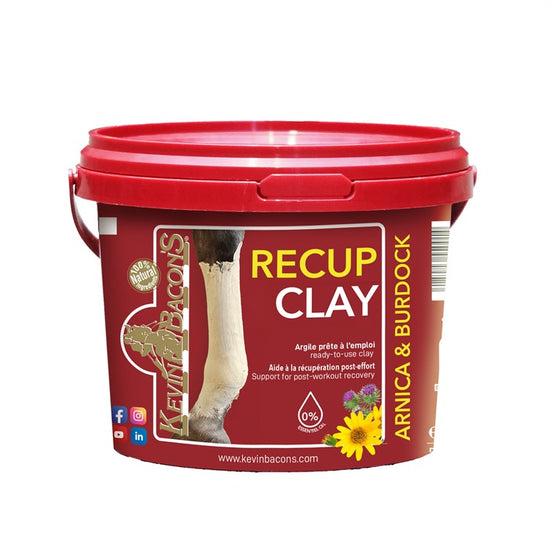 Kevin Bacon Recup Clay