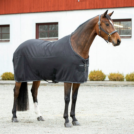 Aloga Pro Stable