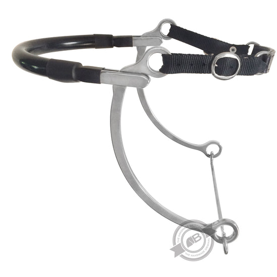 CT Hackamore 200
