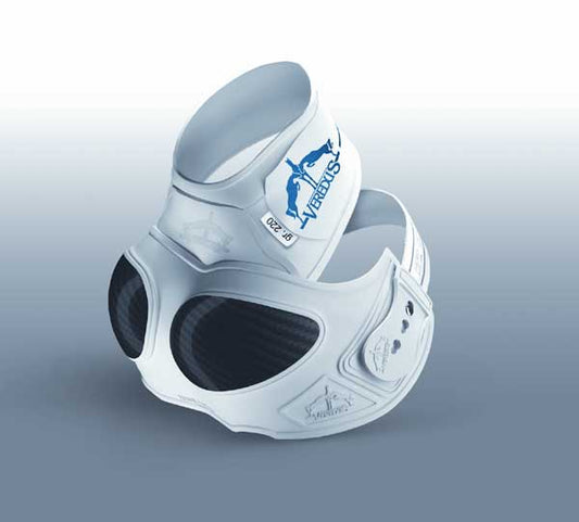 Iceland Shield vita