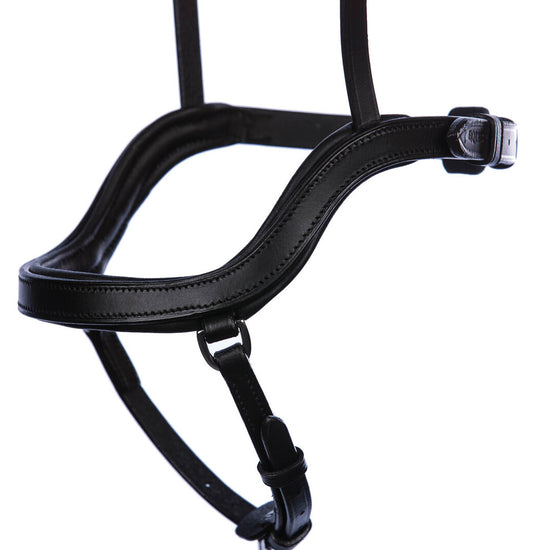 fusion noseband