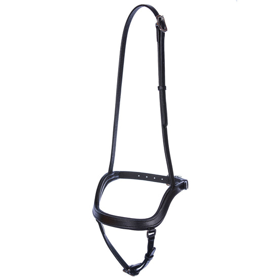 Singula fusion noseband