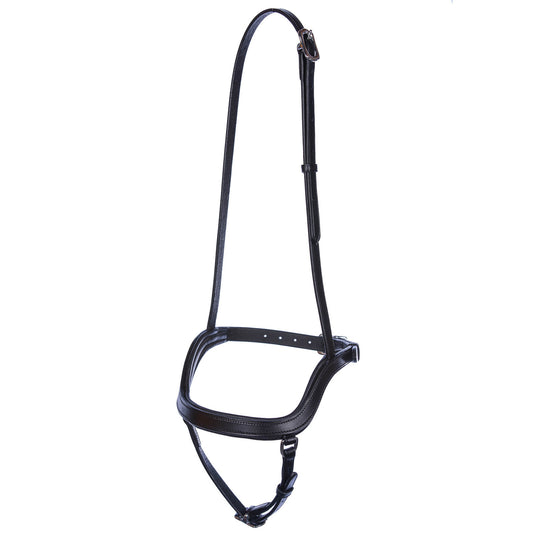 Singula fusion noseband