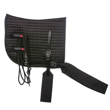 Core training longe system – square