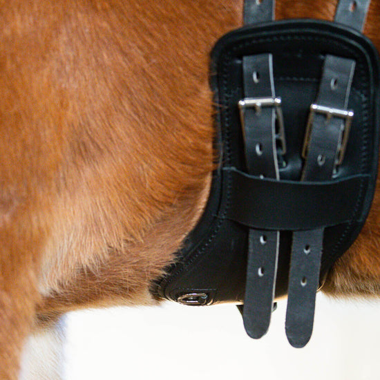 Flex balance girth details