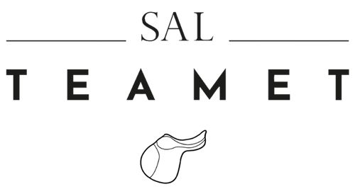 Salteamet