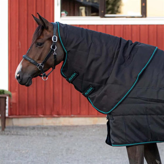 Aloga Pro Stable Hood