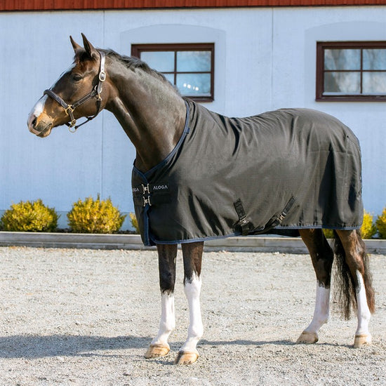 Aloga Pro Stable