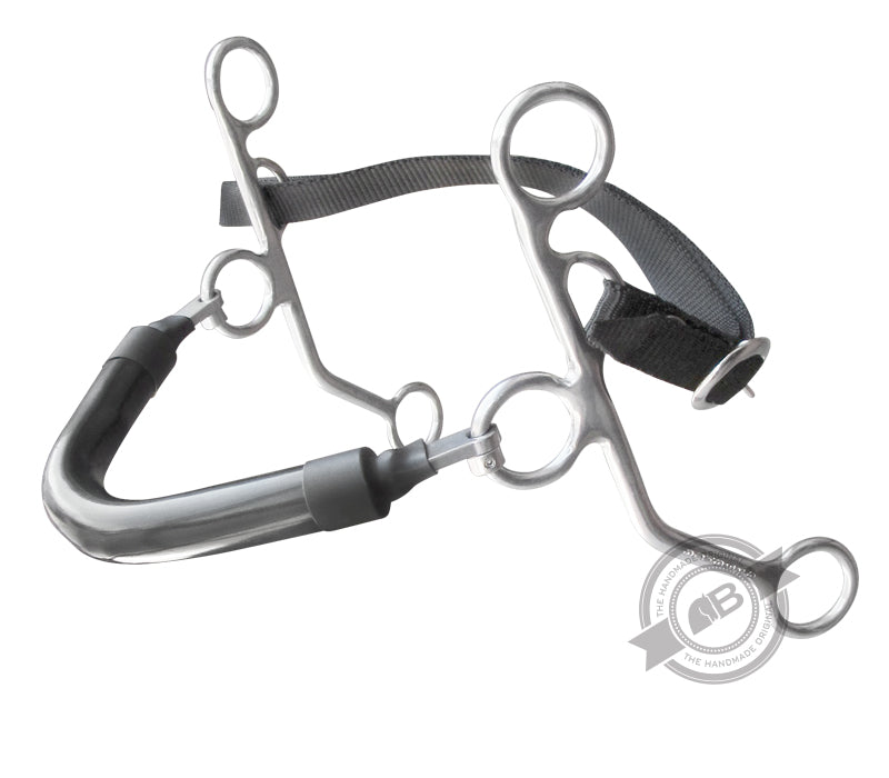 Hackamore