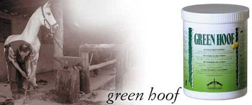Hoof