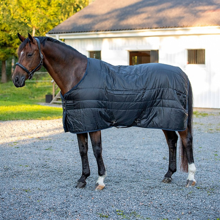 Aloga Stable 2.0