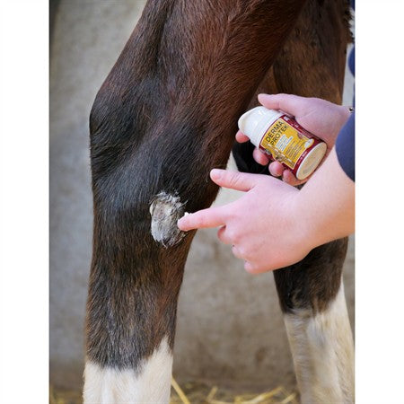 Kevin Bacon´s Derma Protek