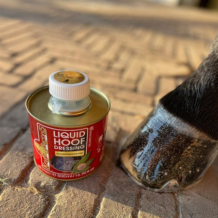 Kevin Bacon´s Hovolja Glitter