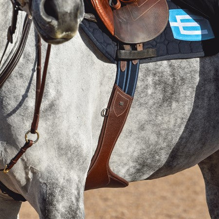 Sadelgjord med magplatta
