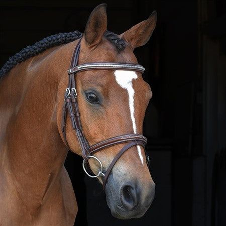 Thamar träns silverklinkers komb nosgr