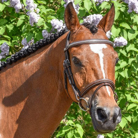 Thamar träns silverklinkers komb nosgr