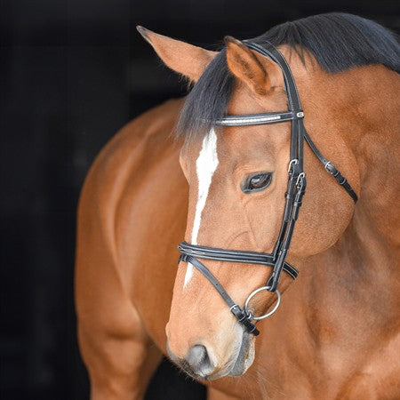 Thamar träns silverklinkers komb nosgr